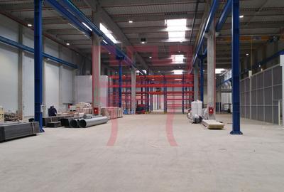 Inchiriere  module hala cu pod rulant 5T sau mai mare - 1