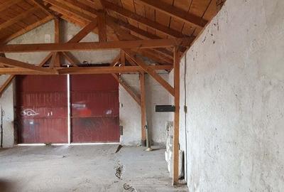 Spațiu comercial, de 250 mp, în Moșnița Nouă - 6