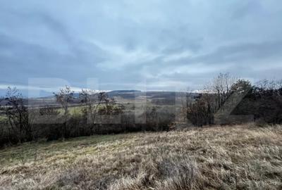 Teren de 4300 mp, în Vințu de Jos - 2