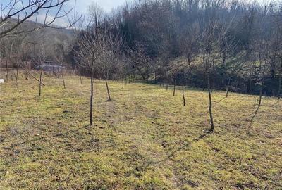 Teren de 1800 mp, în Ciclova Română - 9