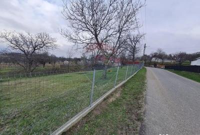 Teren de 1600 mp, în Păulești - 1