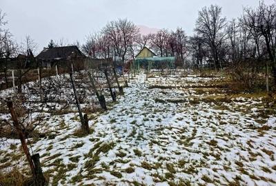 Teren Construcții intravilan de 4516 mp, în Doina - 29