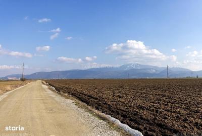 Teren de 19239 mp, în Vulcan - 14