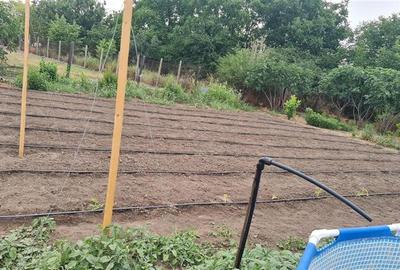 Casă individuală cu 2 camere cu Teren 1711 Mp în Topraisar - 4