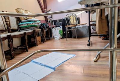 P+E+M,cartier rezidential elegant,liniste,paza,bariera,nepoluat,vecini deosebiti - 12