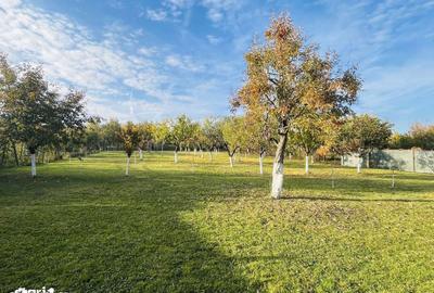 Casă cu 3 camere cu Teren 1994 Mp în Central - 8