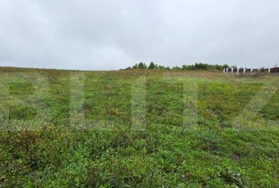 Teren Sigmir, parcelat, toate utilitatile, 880 mp - 5