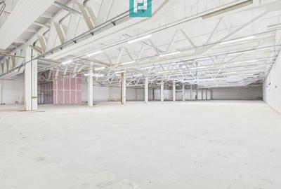 Centru Logistic – Platformă Industrială Oradea - 30