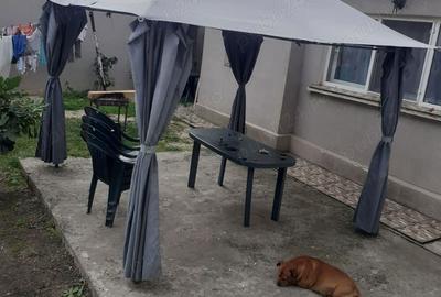 De vanzare 2 case in Techirghiol - 2