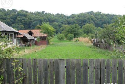 Teren de 3834 mp, în Negoiești - 6