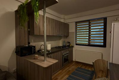 Apartament cu 2 camere decomandat, mobilat în Palat - 4