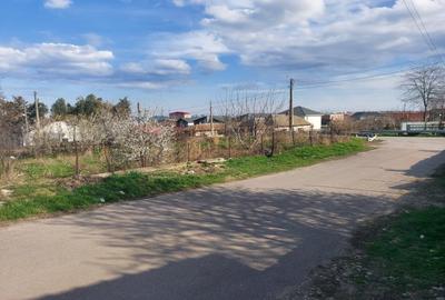 Casa 2 corpuri - Ovidiu - 110.000 euro (Cod E2) - 7