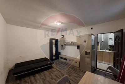 Casă cu 2 camere cu Canalizare în Calea Plevnei - 12