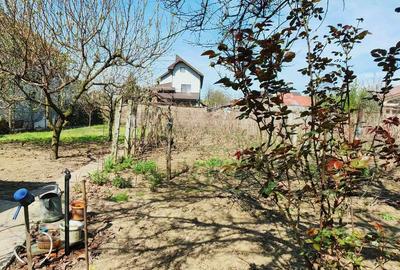 Teren de 1000 mp, în Central - 3