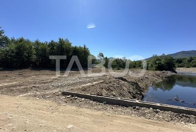 Teren extravilan cu utilitati 1800 mp langa Rau pe Valea Sebesului - 6