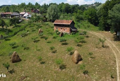 Spațiu comercial, în Cicănești - 6