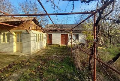 Teren de 1955 mp, în Lipia - 5