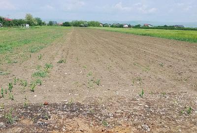 Teren de 5400 mp, în Baba Ana