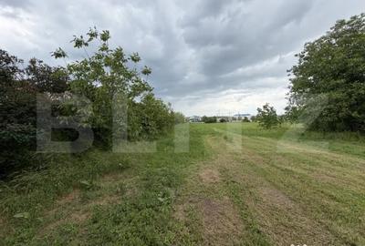 Teren în Bariera Vâlcii - 2