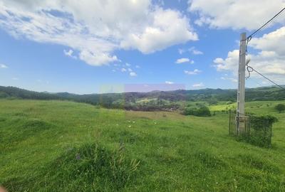 Teren de 9037 mp, în Plaiul Tălii - 2