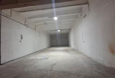 Spatii depozitare /productie Linia de Centura Leordeni-Glina - 22