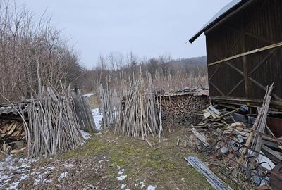 Casă cu 4 camere în Bumbești-Pițic - 5