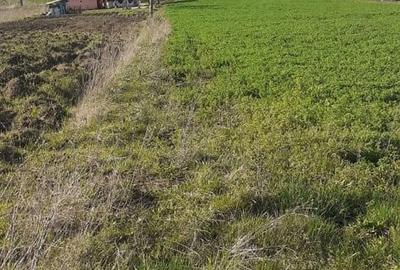 Teren de 2600 mp, în Mirșid - 1