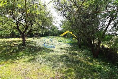 Teren intravilan de vanzare Valea Doftanei, Prahova - 8