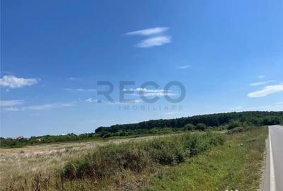 Teren de 39000 mp, în Leș - 4