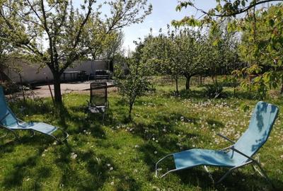 Casă individuală cu 3 camere cu Teren 937 Mp în Vlădeni - 14