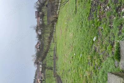 Casa de vanzare in localitatea Lunca jude?ul Mures - 1