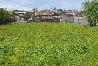 Teren de 800 mp, în Cocorăștii Mislii - 2