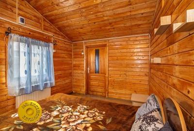 Doua case in aceeasi curte Pitesti, Strada Turcesti - 2