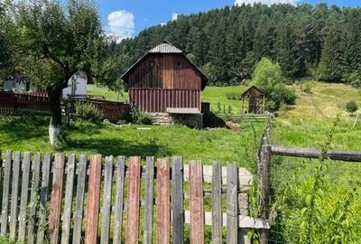 5283 mp TEREN INTRAVILAN IN ZONA TURISTICA MONTANA BUCOVINA, VAMA - SUCEAVA - 5