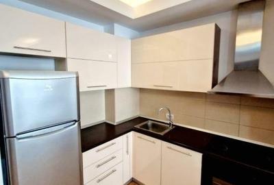 Apartament cu 2 camere semidecomandat, mobilat în Herăstrău - 5