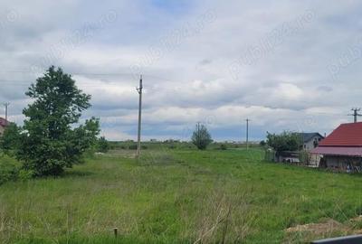 Teren de 3600 mp, în Brășăuți - 4