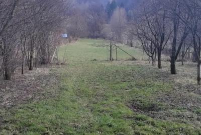 Casa si teren de vanzare, direct proprietar, intrare Bucsoaia, Suceava - 9