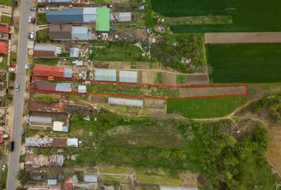 TANTAVA - GRADINARI, CASA 70 MP, LOT - 1557 MP! - 45