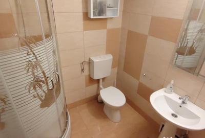 Casă cu 3 camere în Muntele Băișorii - 5