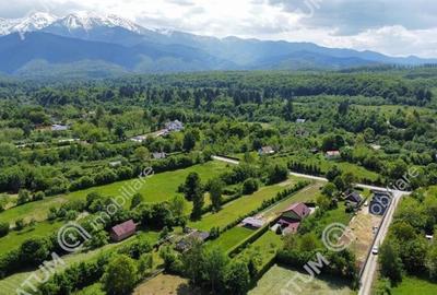 Teren Intravilan in Avrig zona Valea Avrigului 950 mp - 3