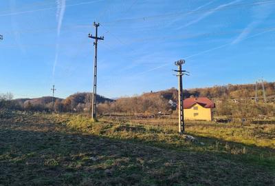 Teren de 5200 mp, în Măldărești - 4