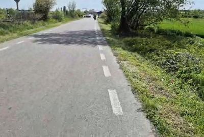 Teren agricol extravilan de 5000 mp, în Central - 3