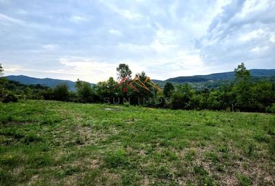 Teren Construcții intravilan de 2600 mp, în Drăgăneasa - 5