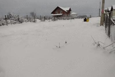 Teren de 1000 mp, în Tăuții de Sus - 2