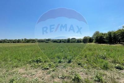 TEREN  INTRAVILAN  5000mp ORAS CISNADIE  STR. SELIMBARULUI - 2