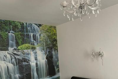 Casa deosebita P+E+M  Central-Biserica - 22