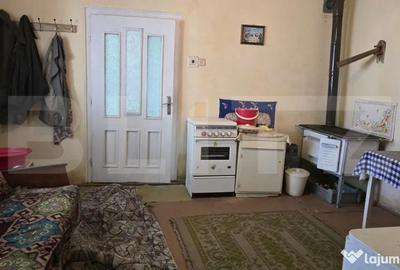 Casă cu 3 camere cu Teren 4600 Mp în Central - 6