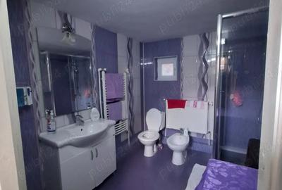 Casa de vanzare zona Cotu Negru, complet mobilata, 80.000 euro negociabil - 9