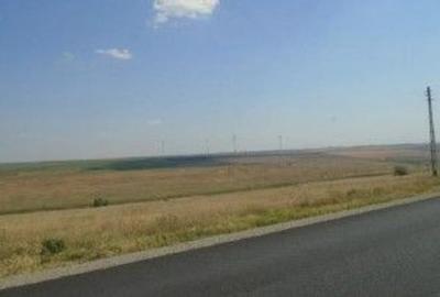 Teren de 9000 mp, în Schela - 8