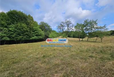 Teren de 2700 mp, în Curtea de Argeș - 8